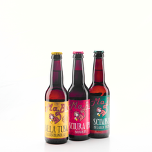 Carica l'immagine nel visualizzatore di Gallery, Casse miste 33cl &amp; 75cl Ma.Bo. Beer

